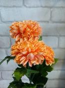 Fleur artificielle " Chrysanthème"