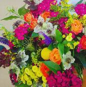 Les bouquets de fleurs "PopColors Collection"